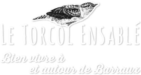 Le Torcol ensablé